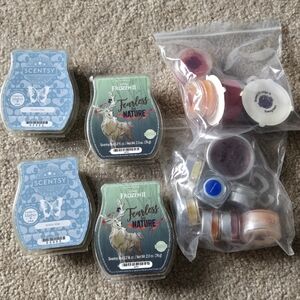 Scentsy Wax Bundle